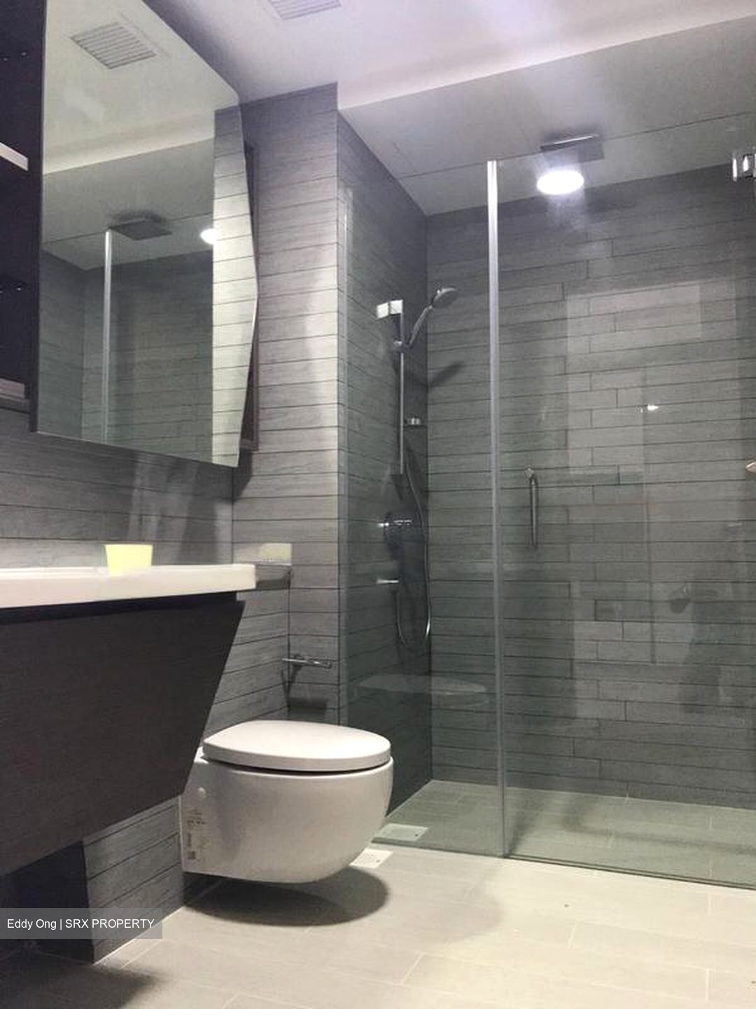 V On Shenton (D1), Apartment #458882561